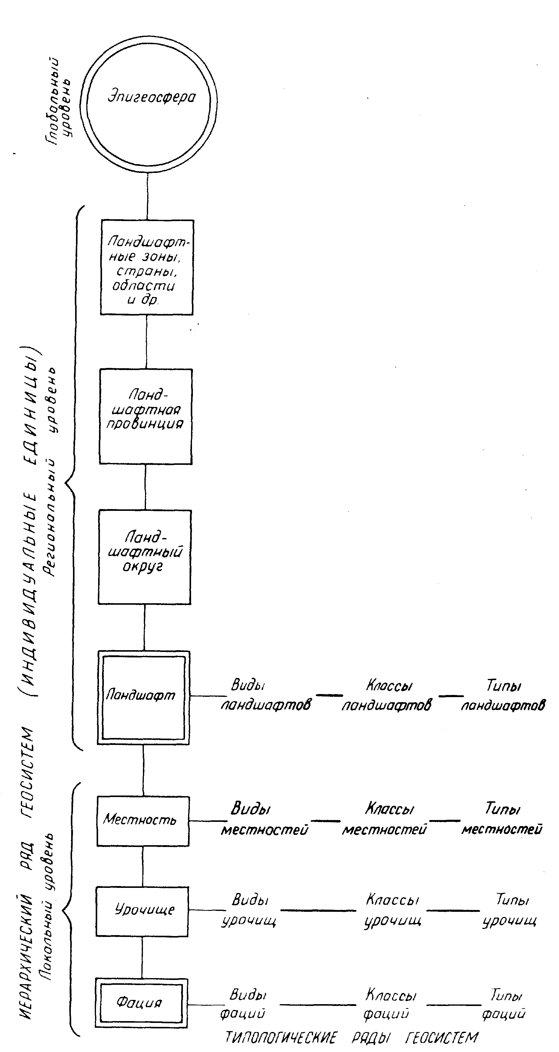 Рис. 1. Схема иерархии геосистем. А.Г. Исаченко, 1991.