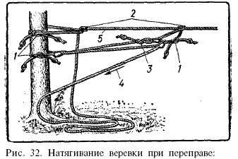 1 — прямой узел сдвоенным репшнуром; 2 — ссхваты-вающий» узел сдвоенным репшнуром; 3 — узел проводника; 4 —усилие натягивающих; 5 —основная веревка 