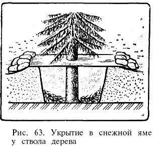 Рис. 63.  Укрытие в снежной яме у ствола дерева